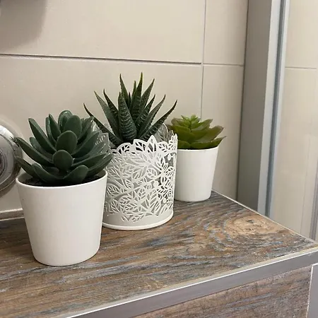 Kala Apartment *